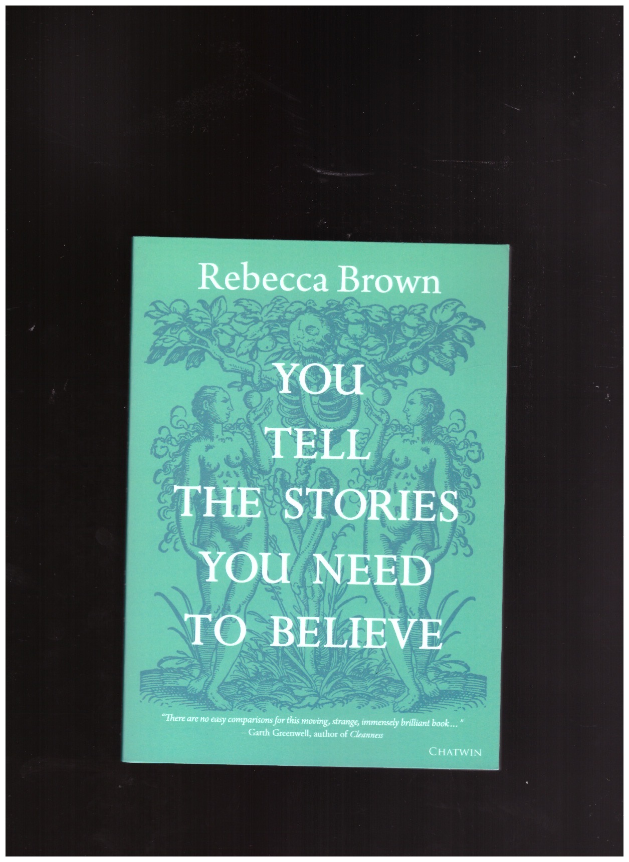 BROWN, Rebecca - You Tell the Stories You Need To Believe